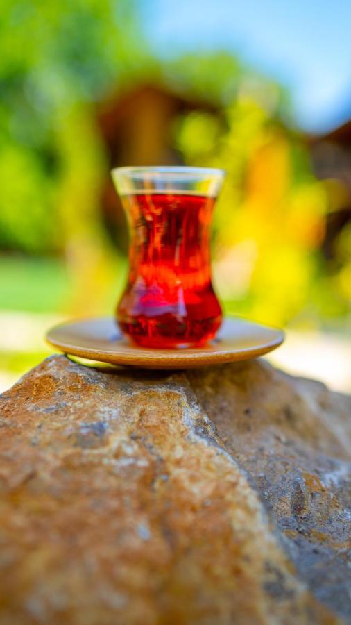 Abant Villa Otel Bolu Zewnętrze zdjęcie